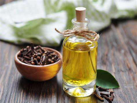 Clove oil poisoning